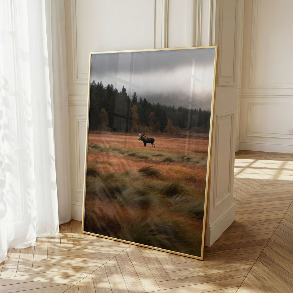 Moose Wall Art Set of 18: Wildlife Photography, Rustic Cabin & Nordic Lodge Decor Printable