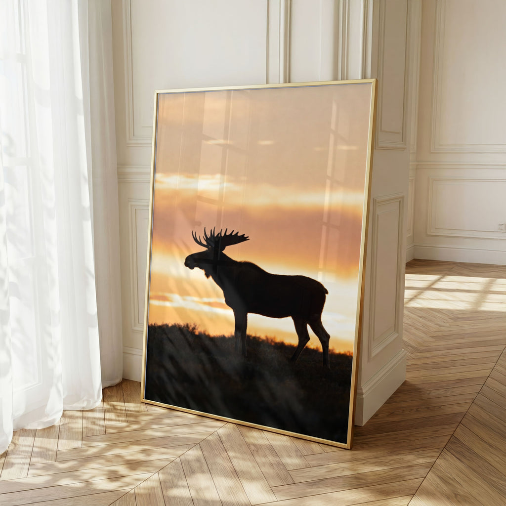 Moose Wall Art Set of 18: Wildlife Photography, Rustic Cabin & Nordic Lodge Decor Printable