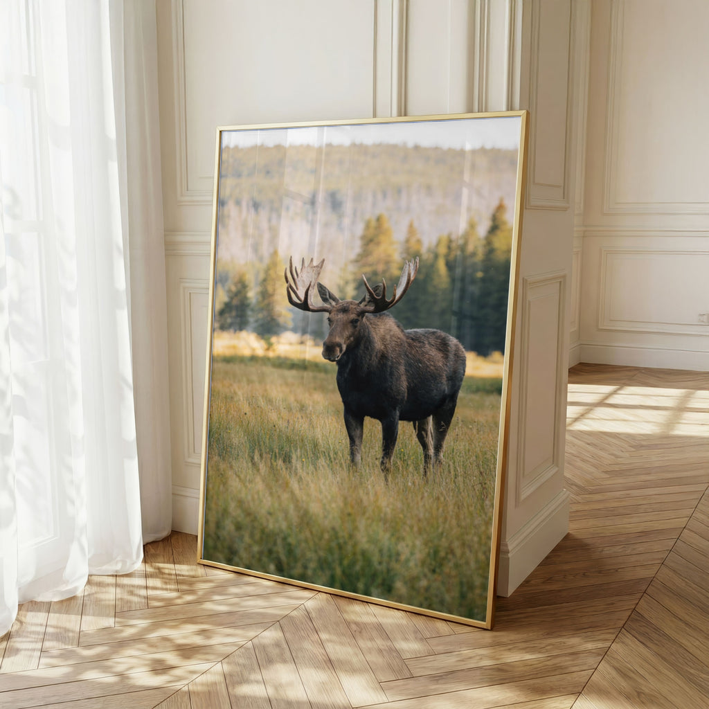 Moose Wall Art Set of 18: Wildlife Photography, Rustic Cabin & Nordic Lodge Decor Printable