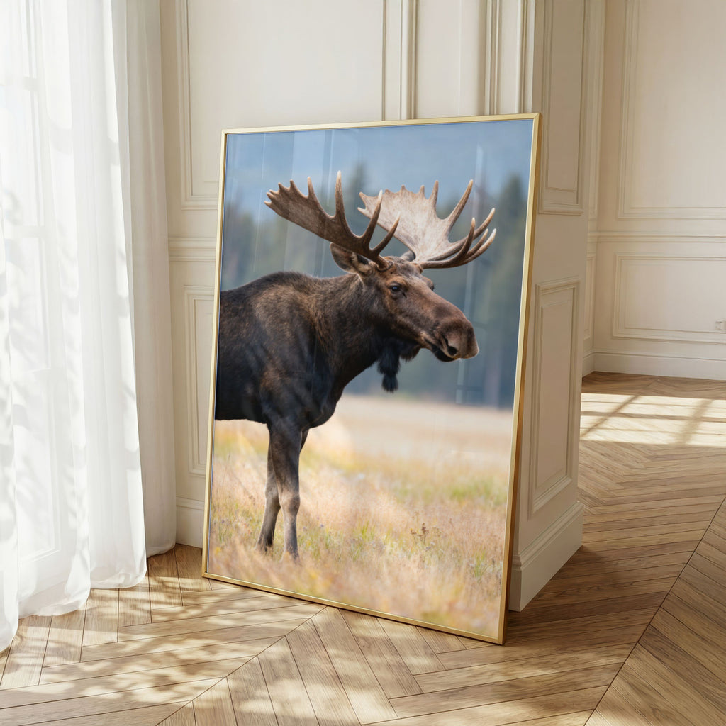 Moose Wall Art Set of 18: Wildlife Photography, Rustic Cabin & Nordic Lodge Decor Printable