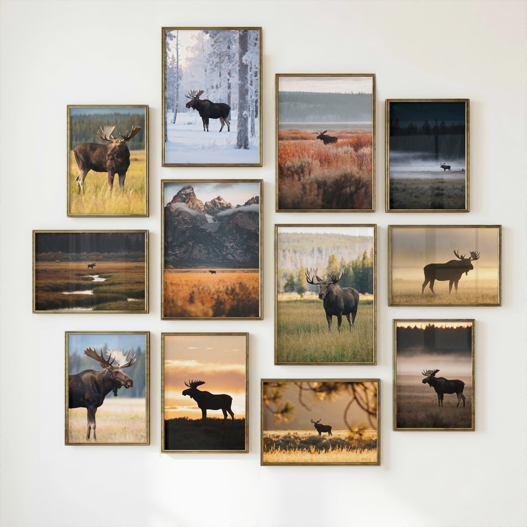 Moose Wall Art Set of 18: Wildlife Photography, Rustic Cabin & Nordic Lodge Decor Printable
