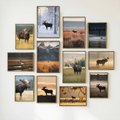 Moose Wall Art Set of 18: Wildlife Photography, Rustic Cabin & Nordic Lodge Decor Printable