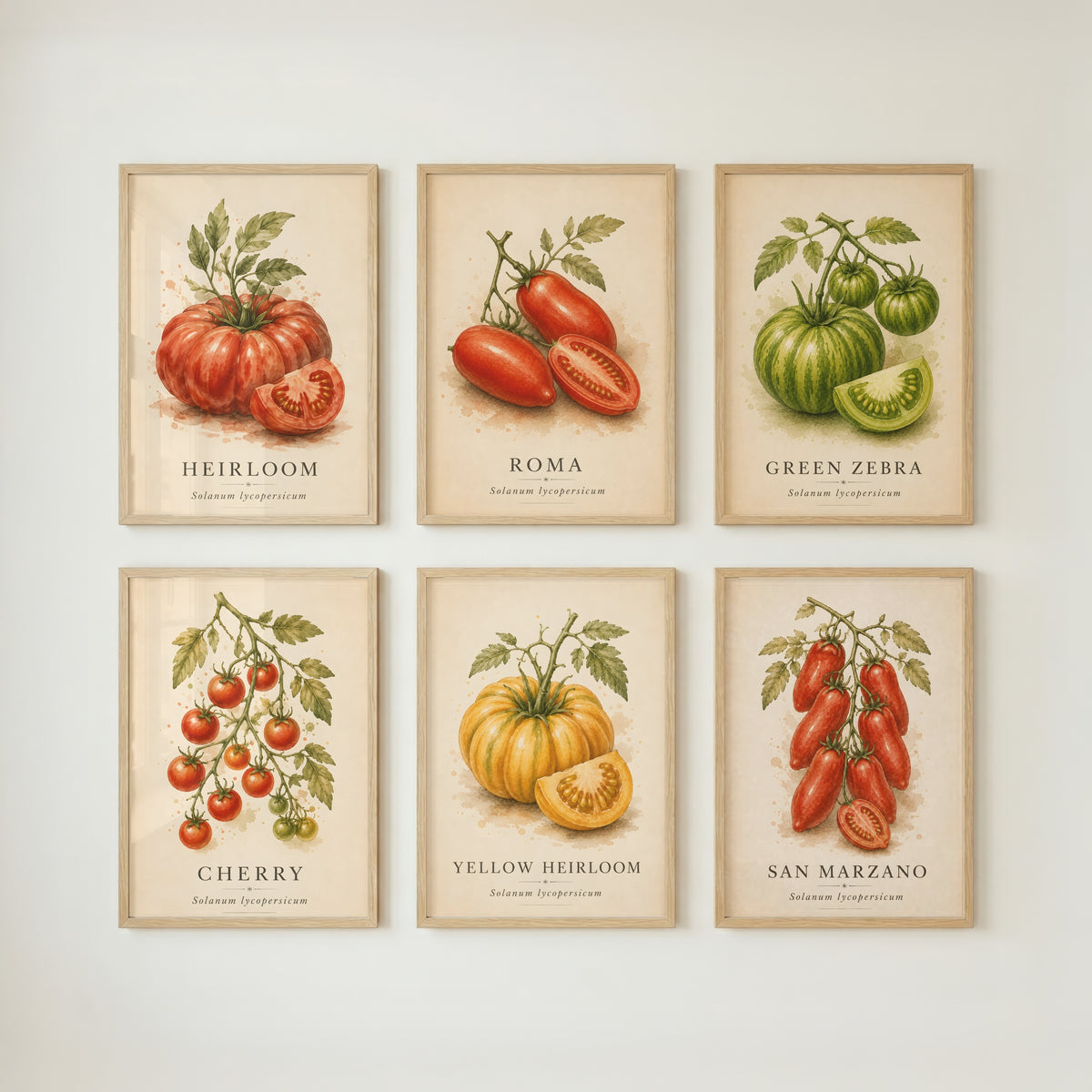Tomato Wall Art Set: Vintage Botanical Kitchen Decor, Italian Food Printable, Heirloom & San Marzano