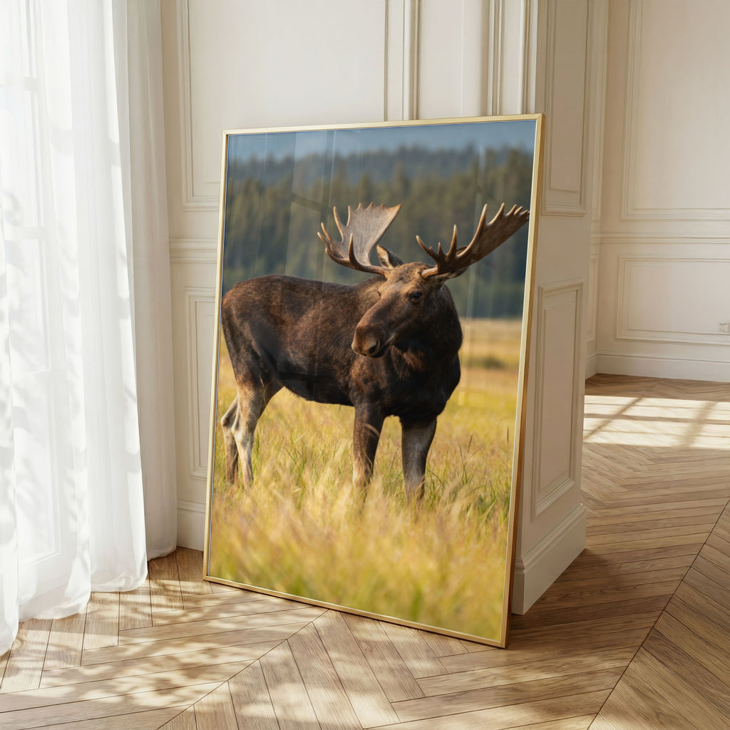 Moose Wall Art Set of 18: Wildlife Photography, Rustic Cabin & Nordic Lodge Decor Printable