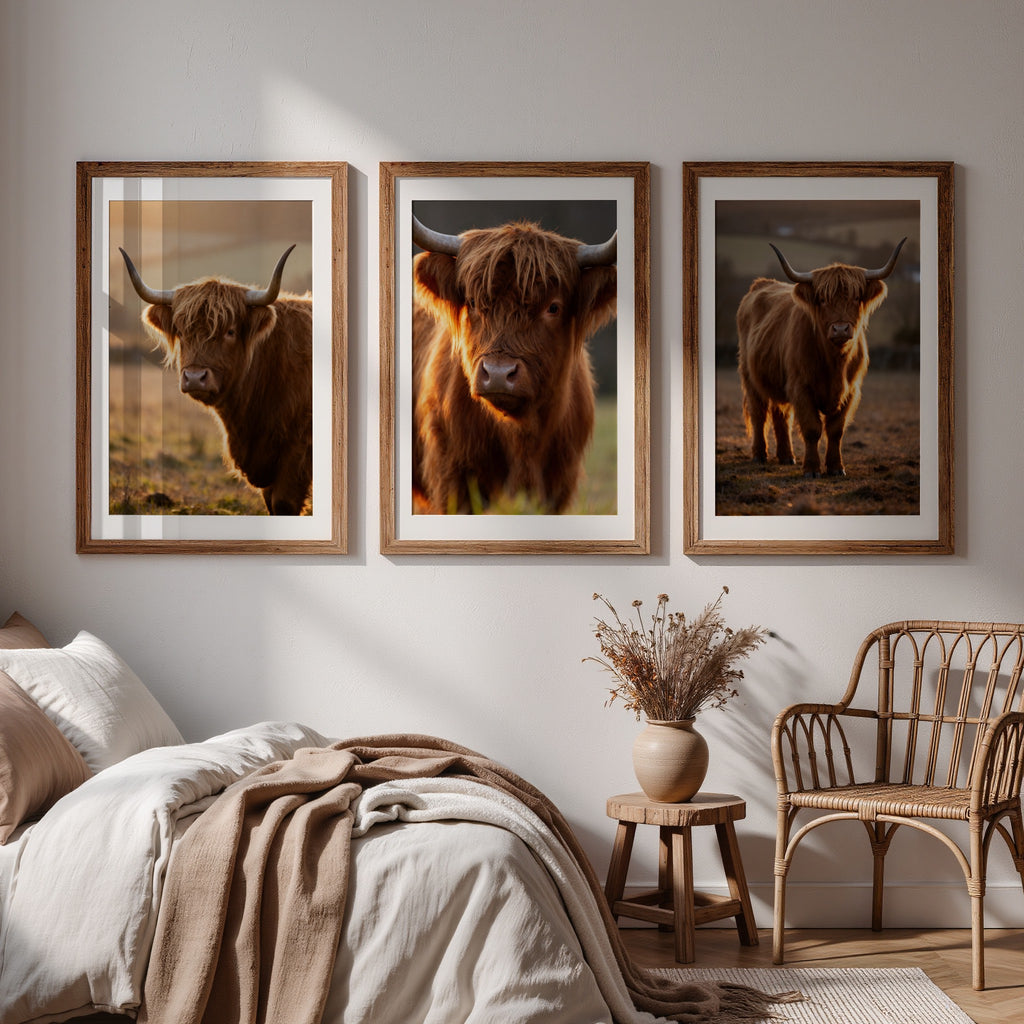 Highland Cow Wall Art Set of 8: Rustic Farmhouse Decor, Country Farm Animal Photography Printable