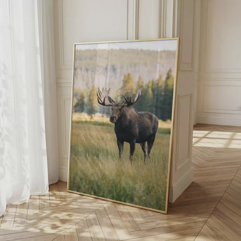 Moose Wall Art Set of 18: Wildlife Photography, Rustic Cabin & Nordic Lodge Decor Printable